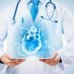 Крепкая сердечно-сосудистая система – это реально в любом возрасте | Женский сайт о женщине и обществе