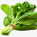 Варианты приготовления низкокалорийных диетических супов